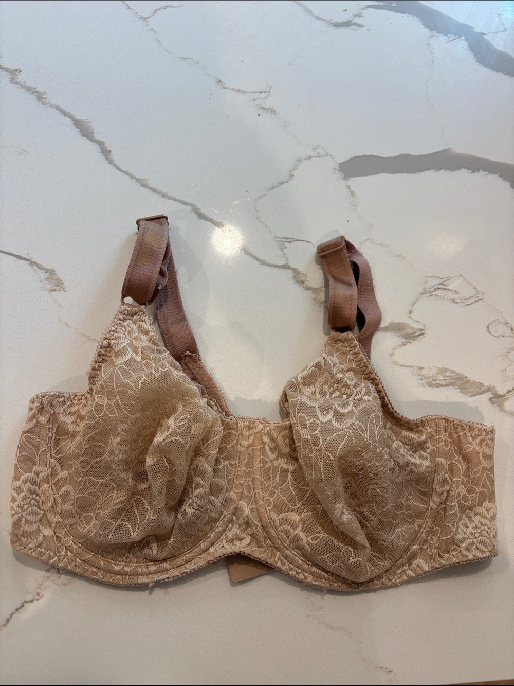 Cabernet 40D Lace Underwire Bra in Nude Beige